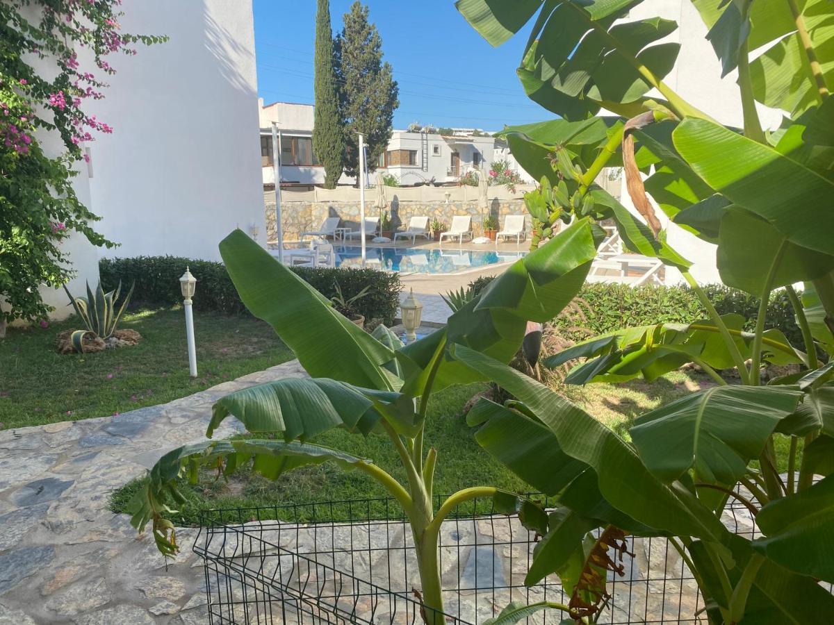 Canna Garden Hotel - Adult Only Gümbet Buitenkant foto